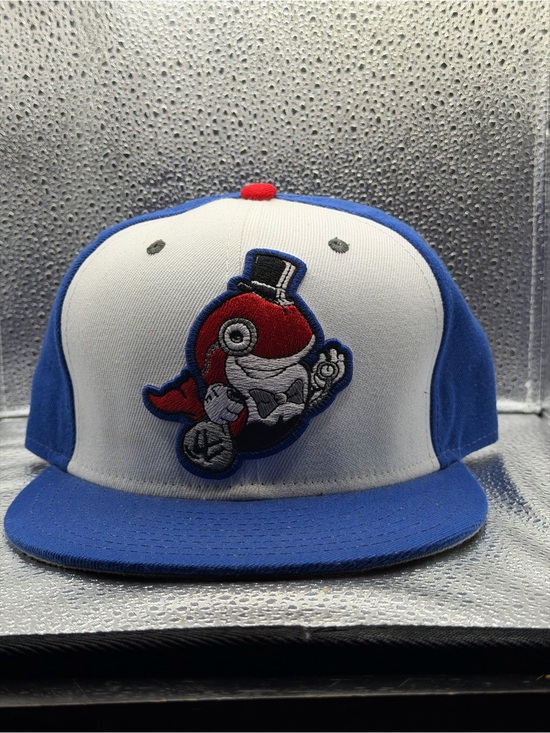 Other - SnapBack young whales giants hat